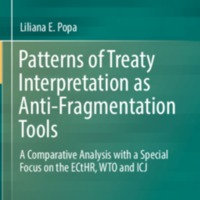 2018_Book_PatternsOfTreatyInterpretation.pdf