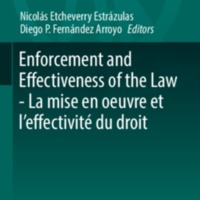 2018_Book_EnforcementAndEffectivenessOfT.pdf