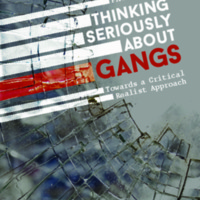 2019_Book_ThinkingSeriouslyAboutGangs.pdf