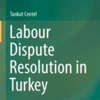 2019_Book_LabourDisputeResolutionInTurke.pdf