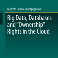 2020_Book_BigDataDatabasesAndOwnershipRi.pdf