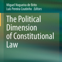 2020_Book_ThePoliticalDimensionOfConstit.pdf